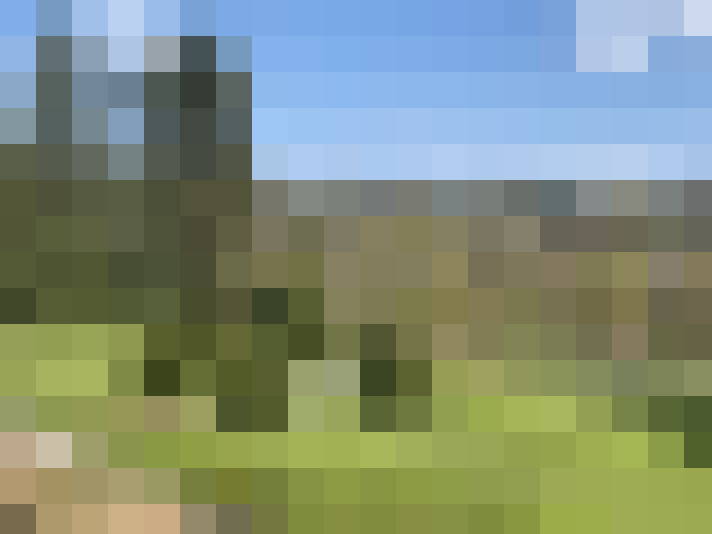  / #16