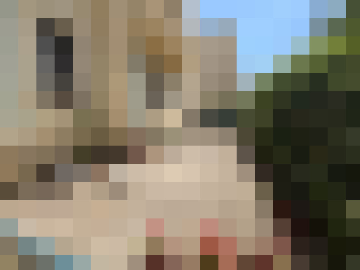  / #13