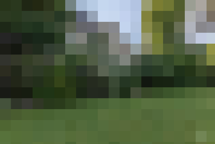  / #15