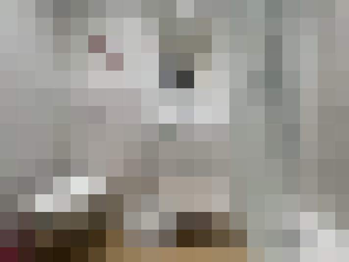  / #13