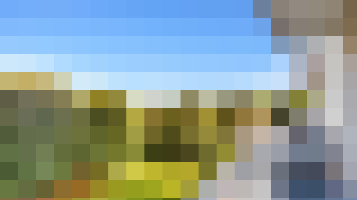 / #13