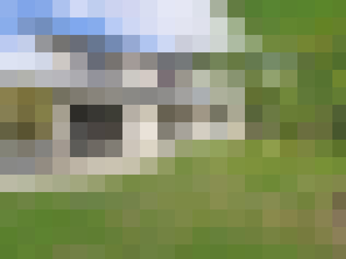  / #13