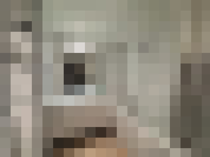  / #8