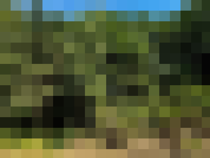  / #15