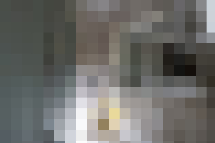  / #15
