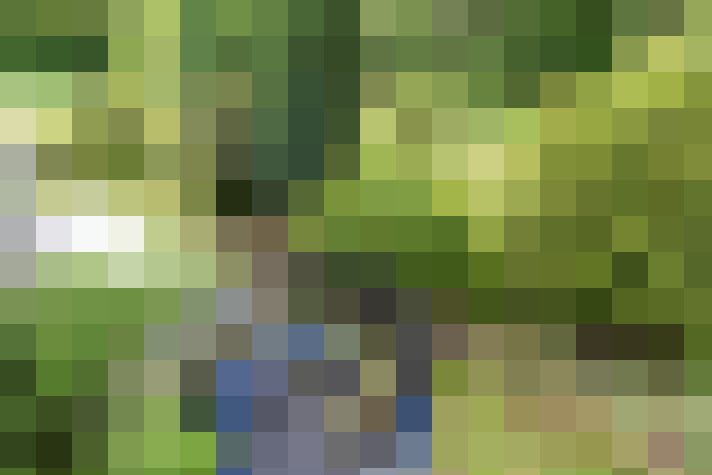  / #16