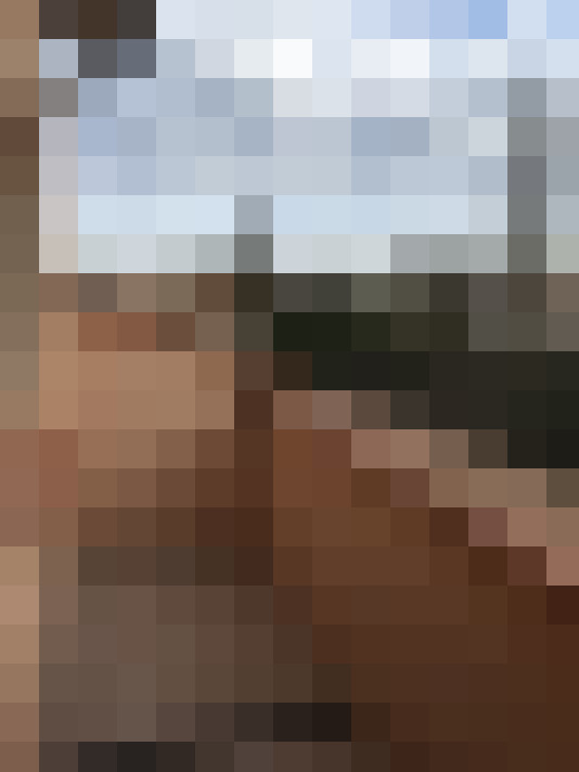  / #14