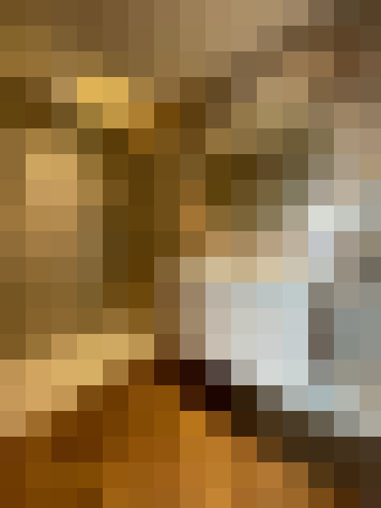  / #15