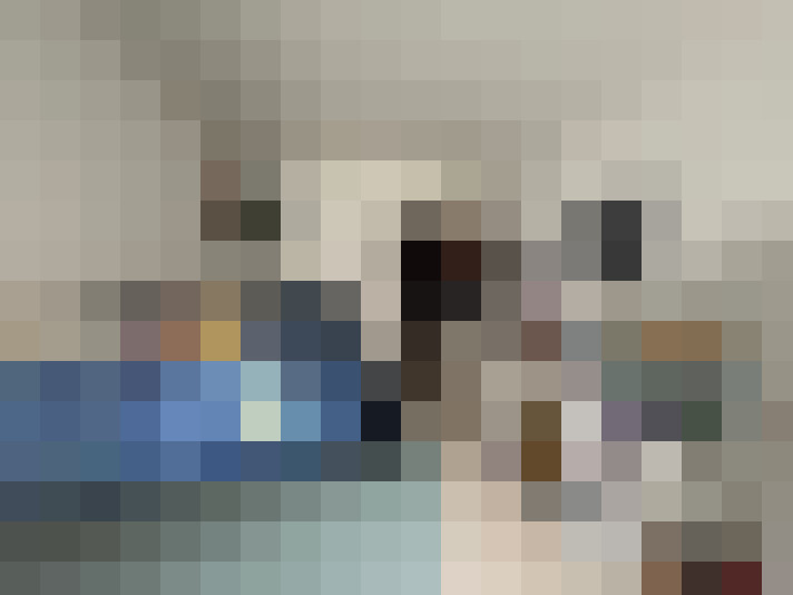  / #19