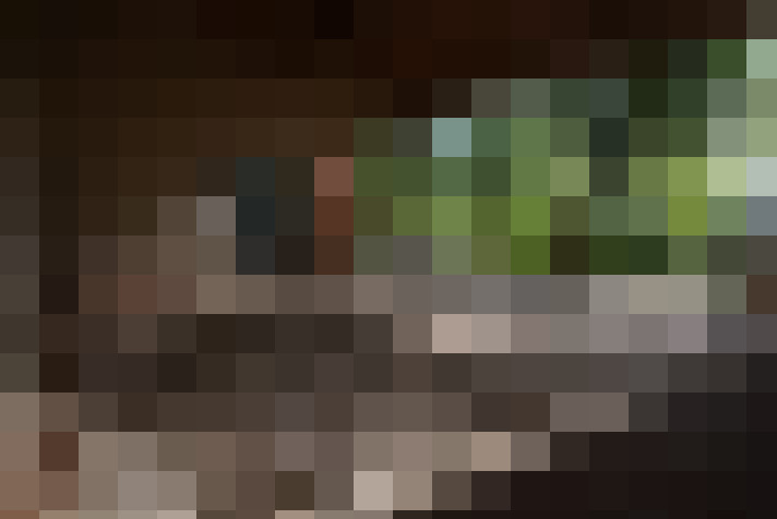  / #2