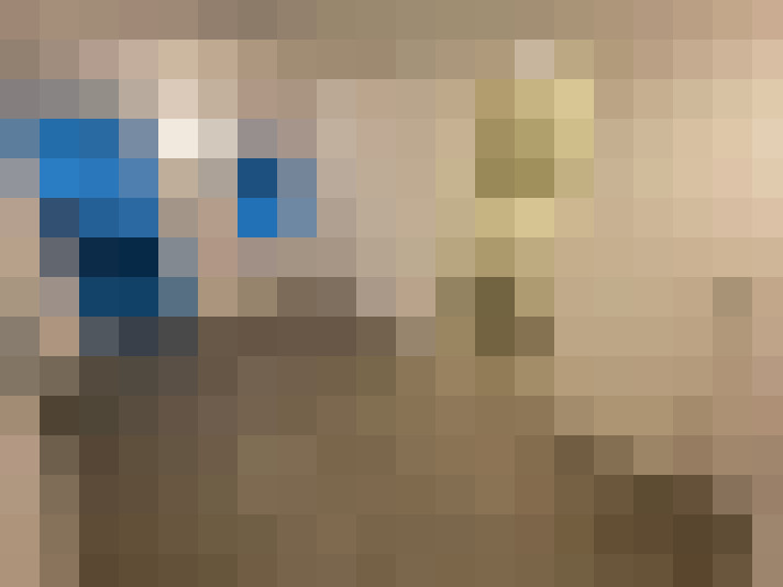  / #20