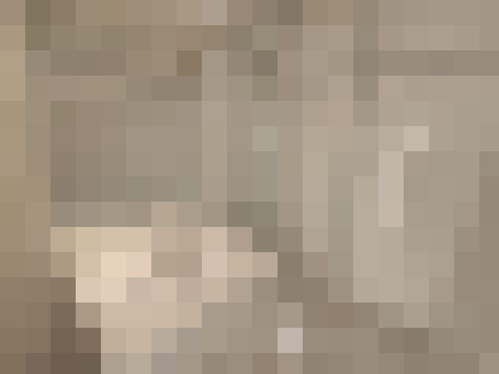  / #11