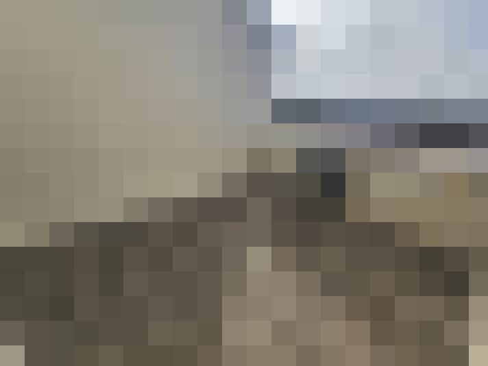  / #14