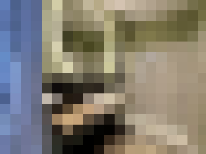 / #21