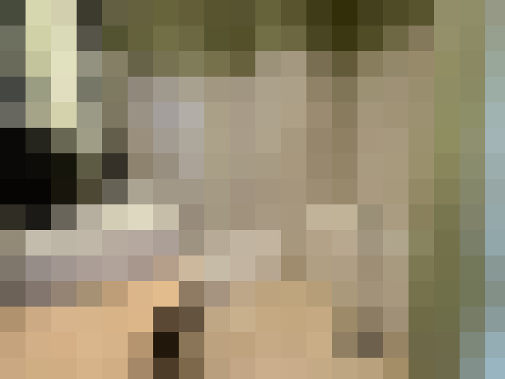 / #17