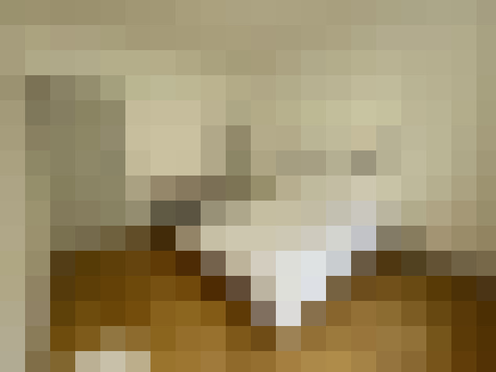  / #19