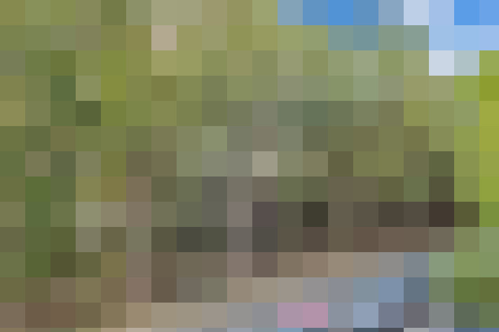  / #15