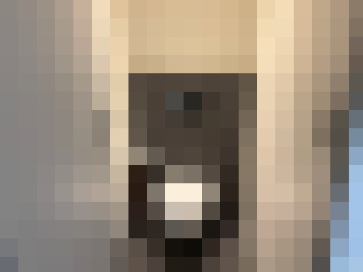  / #13