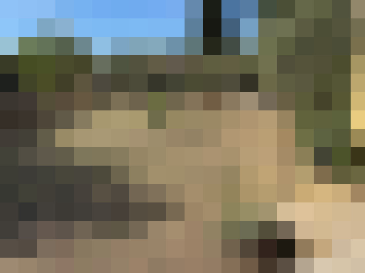  / #18