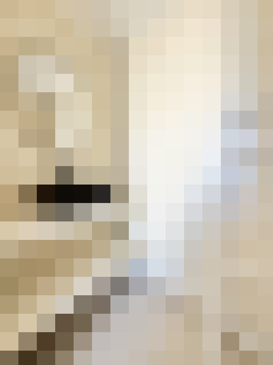  / #11