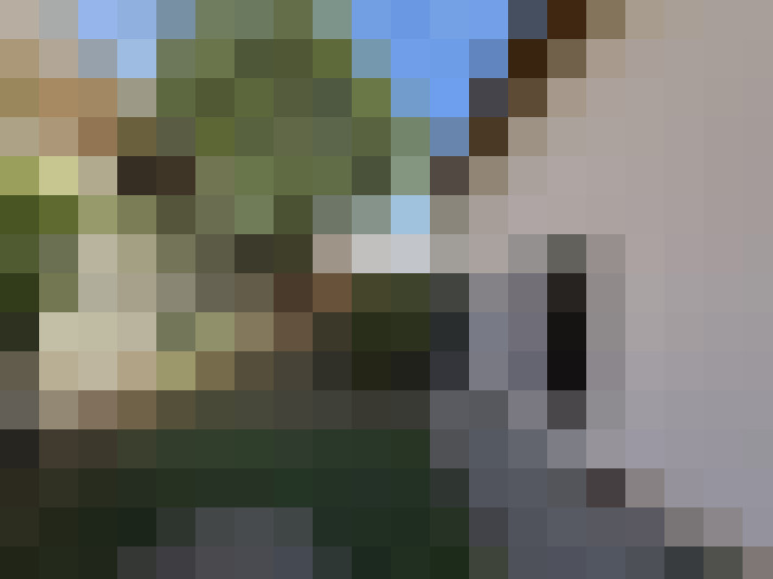  / #9