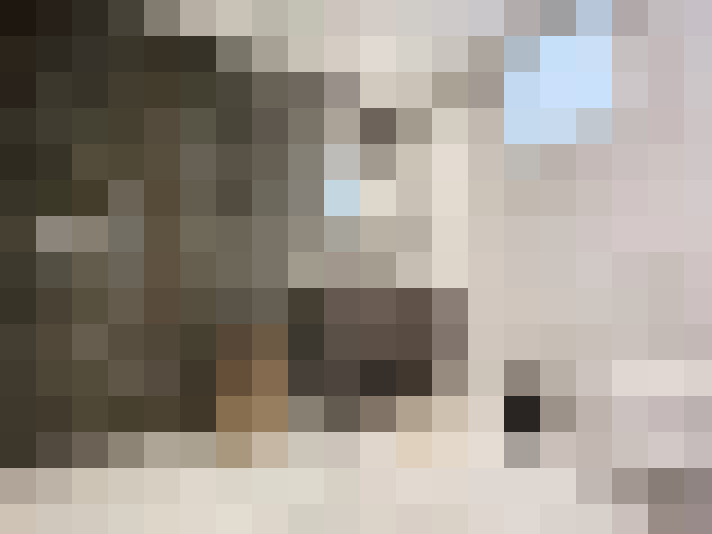  / #7