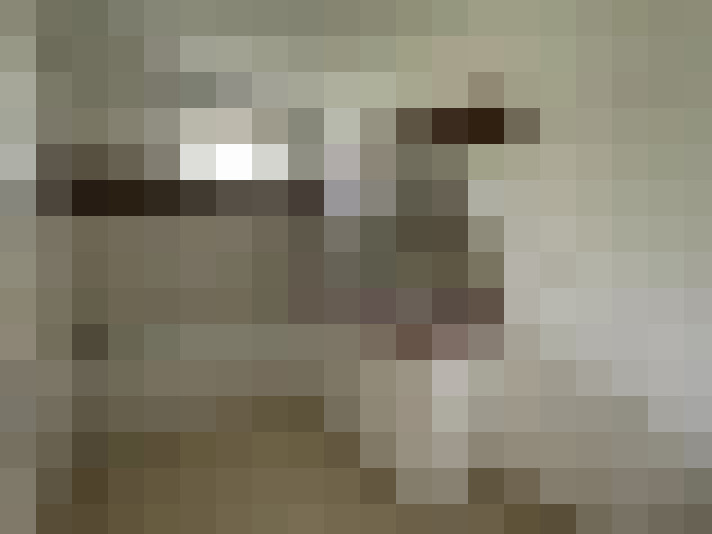  / #15