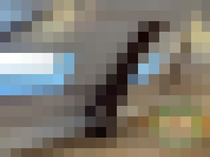  / #15