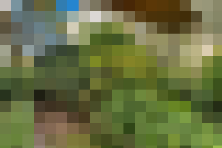 / #15