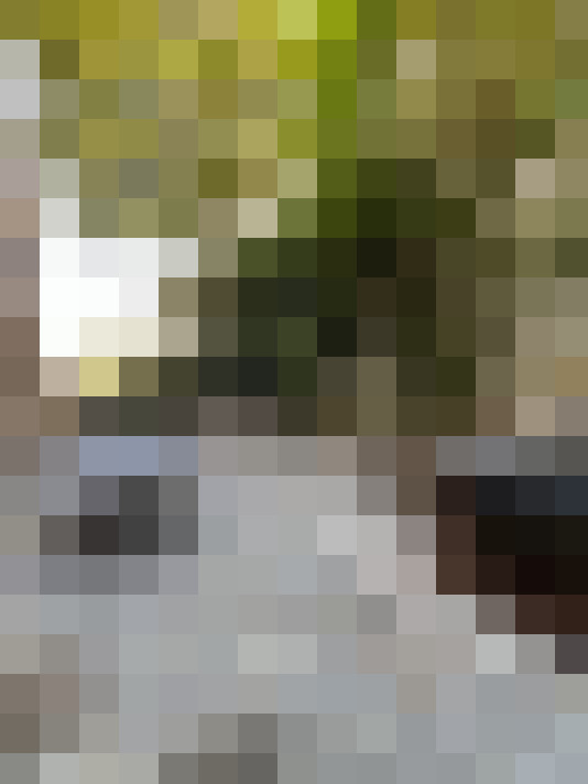  / #16