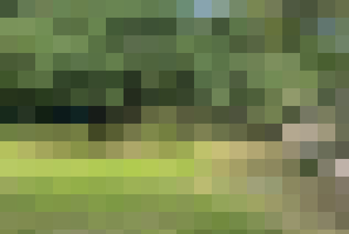  / #7