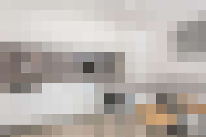  / #15