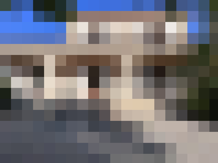  / #11
