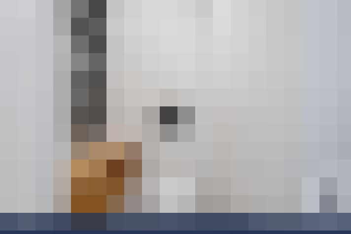  / #14