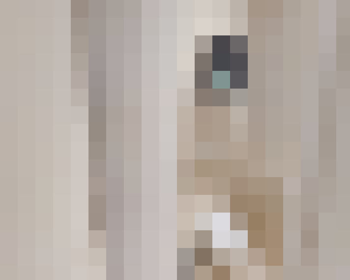  / #25