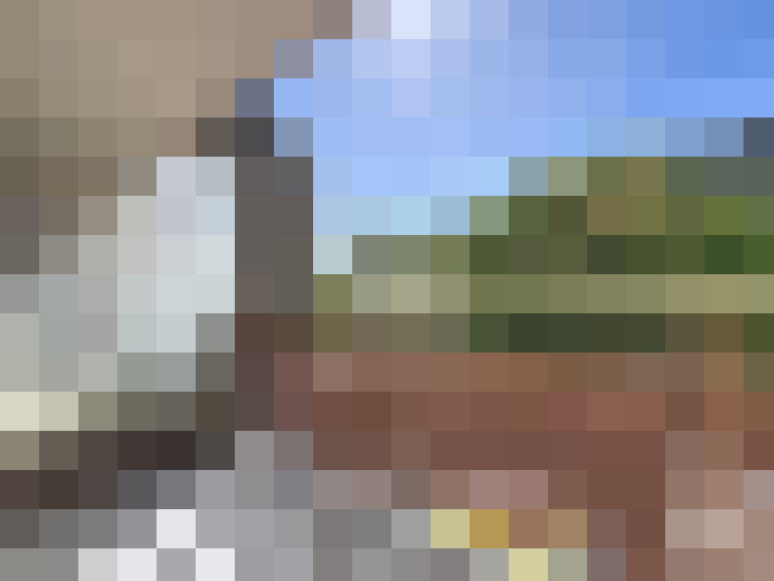  / #16
