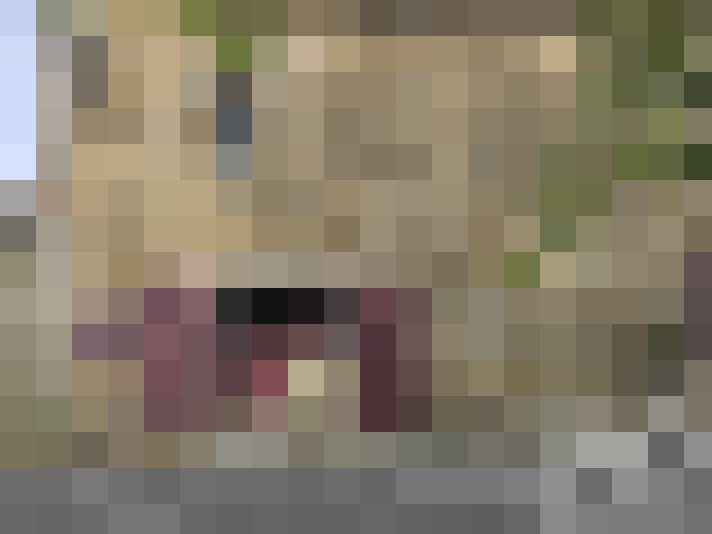  / #16