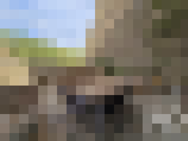  / #15