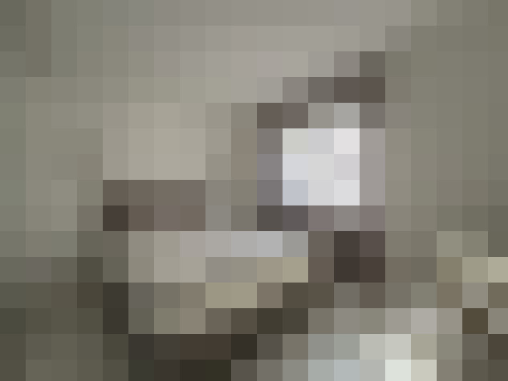  / #8