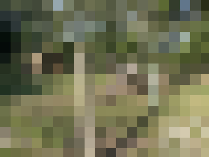  / #18