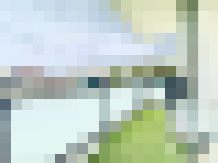  / #8