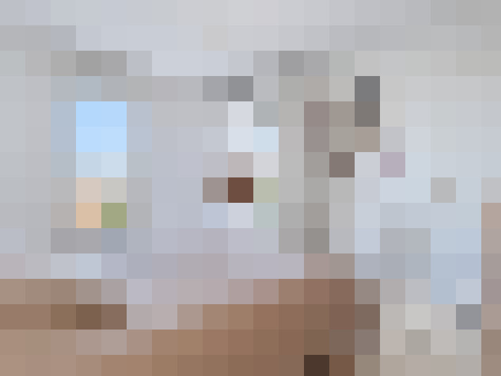  / #16