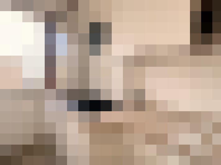  / #11