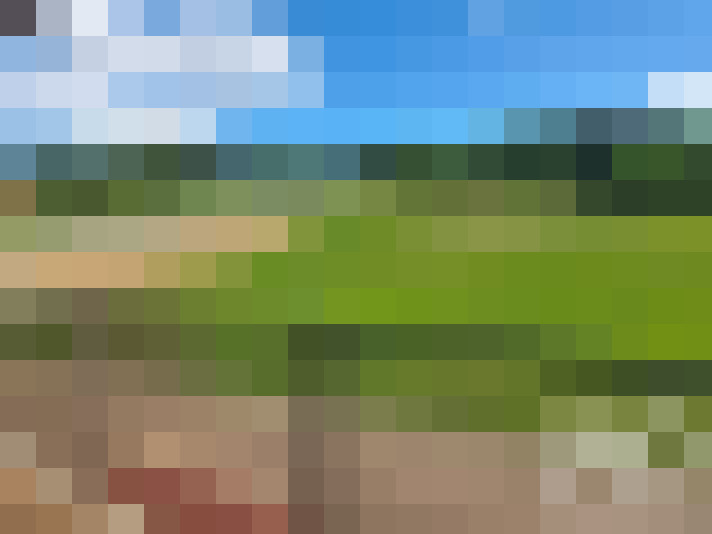  / #9
