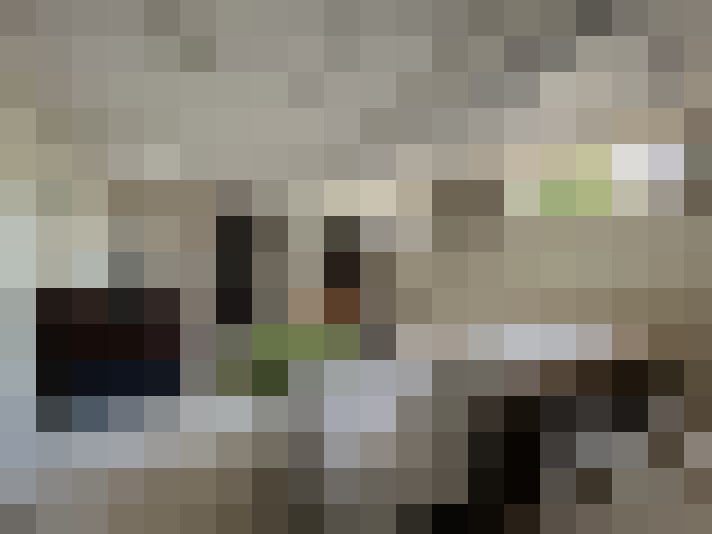  / #19