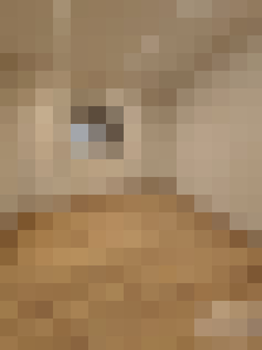  / #15