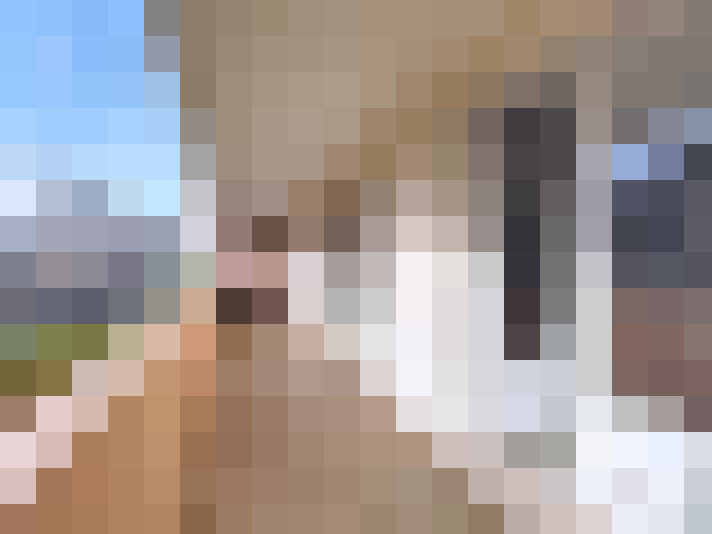  / #12
