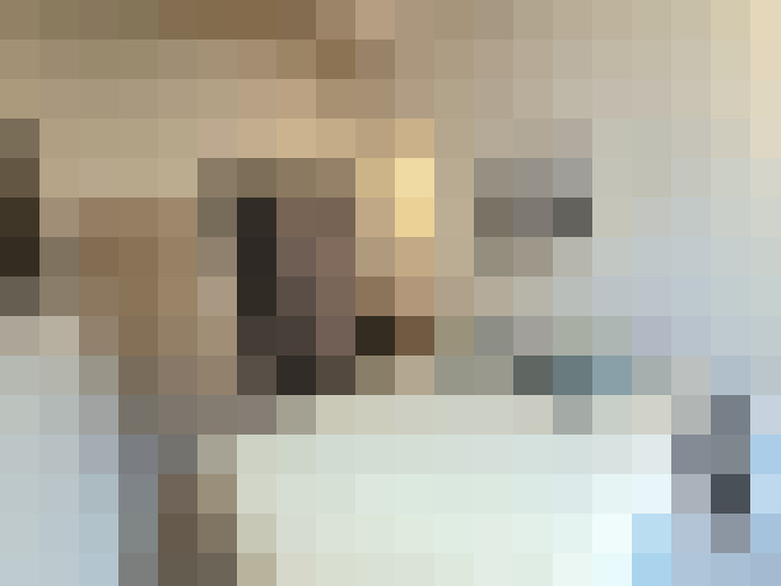  / #8
