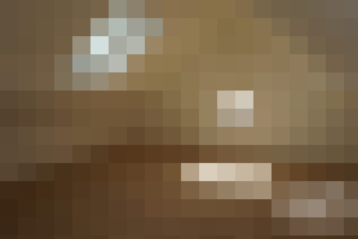  / #6