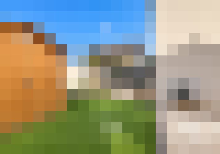  / #19